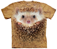 Big Face Hedgehog available now at Novelty EveryWear!